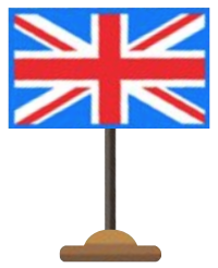 icon_flag